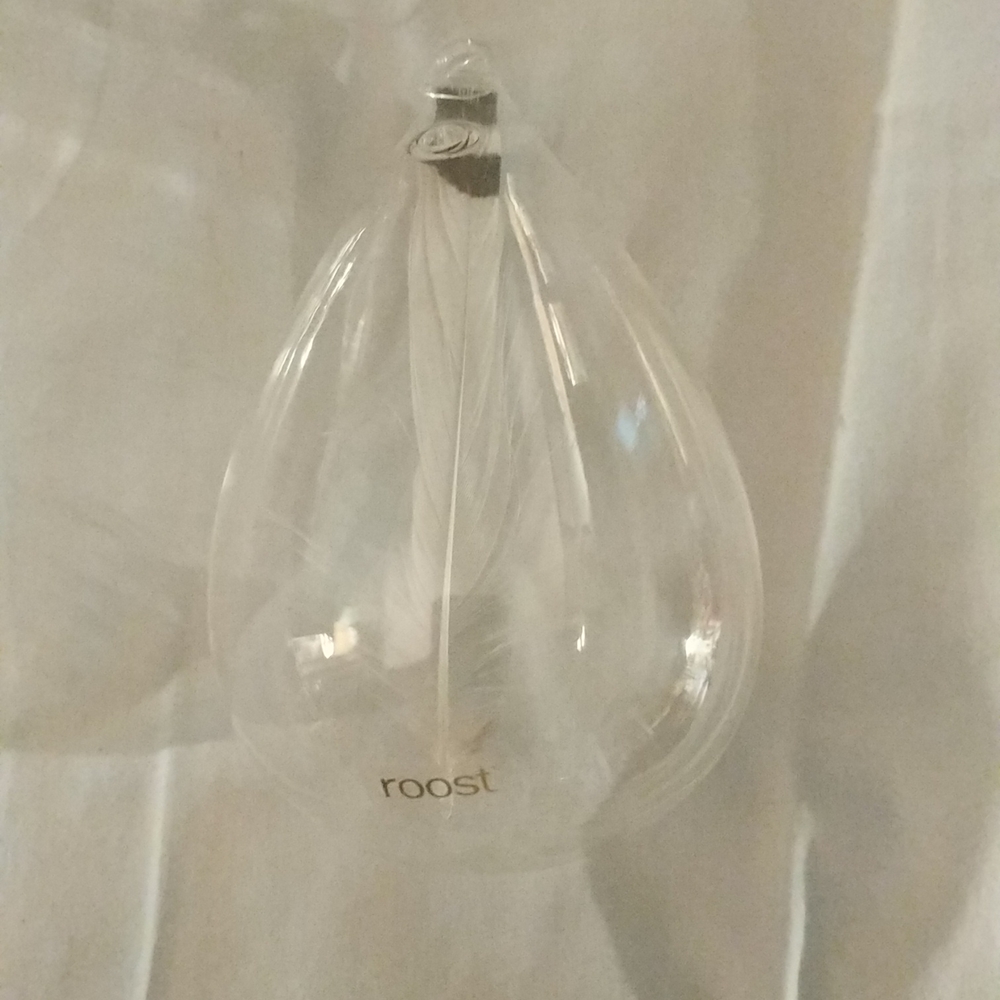 Roost feather in glass